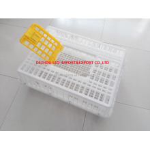 cheapest plastic chicken transport crate for sale